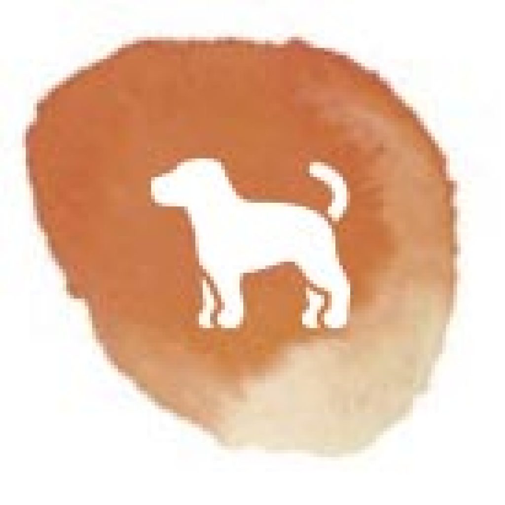 NYC Dog Walking Pet Sitting & Dog Walker Upper East Side (UES) Day